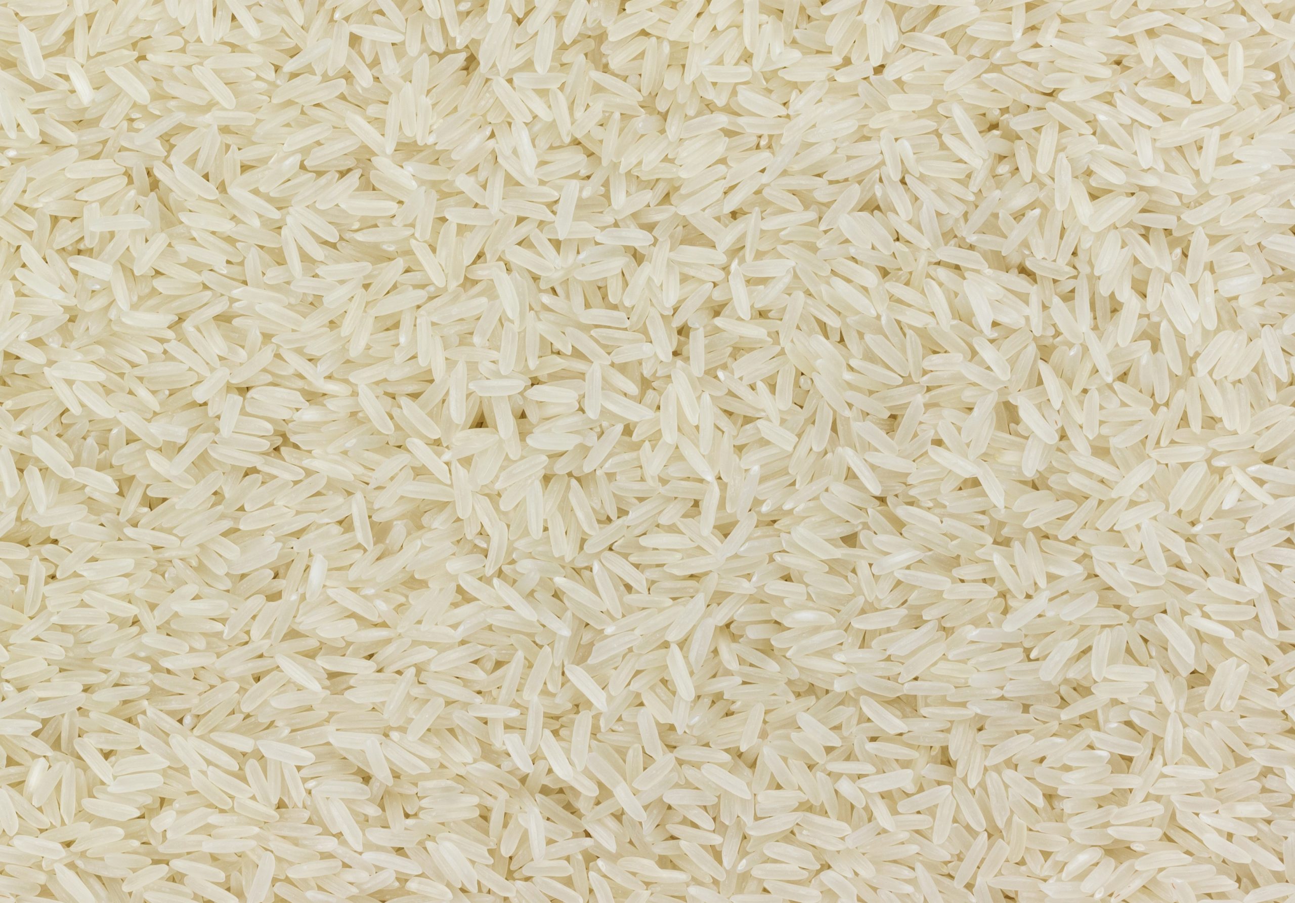 Basmati Biryani Rice – Long Grains & Good Quality